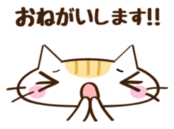 CHITCHI of a cat sticker #14598772
