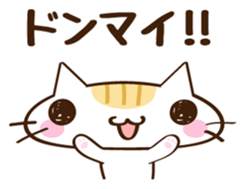 CHITCHI of a cat sticker #14598774