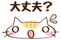 CHITCHI of a cat sticker #14598778
