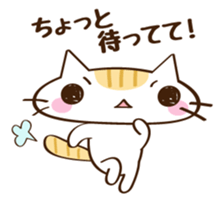 CHITCHI of a cat sticker #14598780