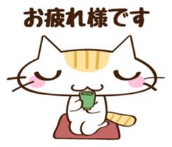 CHITCHI of a cat sticker #14598781