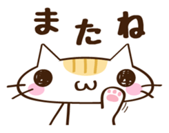 CHITCHI of a cat sticker #14598782
