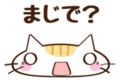 CHITCHI of a cat sticker #14598784