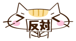 CHITCHI of a cat sticker #14598787