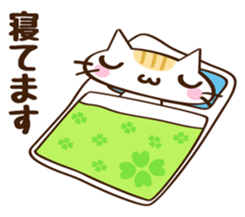 CHITCHI of a cat sticker #14598789