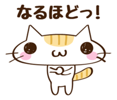CHITCHI of a cat sticker #14598794
