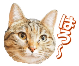 munchkinfan sticker #14601310