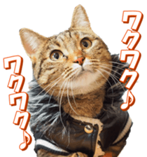 munchkinfan sticker #14601311