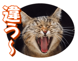 munchkinfan sticker #14601312