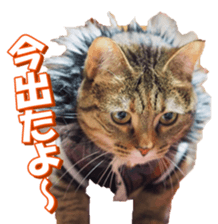 munchkinfan sticker #14601313