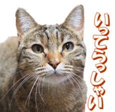 munchkinfan sticker #14601314