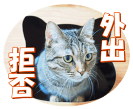 munchkinfan sticker #14601315