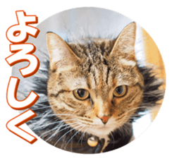 munchkinfan sticker #14601316