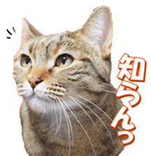 munchkinfan sticker #14601318