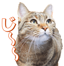 munchkinfan sticker #14601319