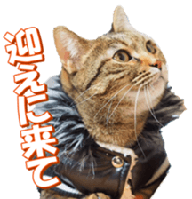 munchkinfan sticker #14601322