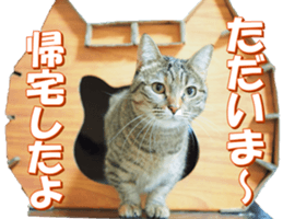 munchkinfan sticker #14601323