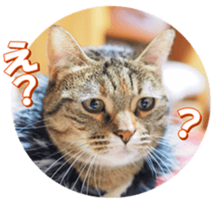 munchkinfan sticker #14601325