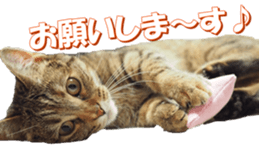 munchkinfan sticker #14601327