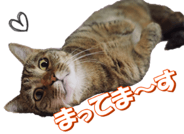 munchkinfan sticker #14601329