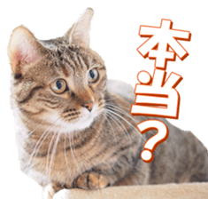 munchkinfan sticker #14601330