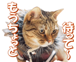 munchkinfan sticker #14601332