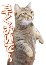 munchkinfan sticker #14601334