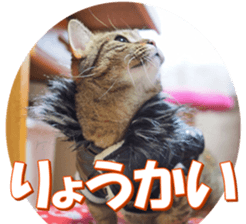 munchkinfan sticker #14601336