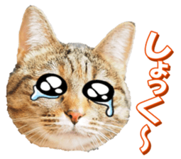 munchkinfan sticker #14601338