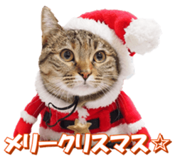 munchkinfan sticker #14601341