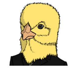 A chicken man sticker #14602164