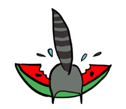 An Emo Raccoon sticker #14603239