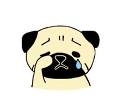 The pug is cute. sticker #14604990