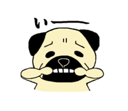 The pug is cute. sticker #14604991