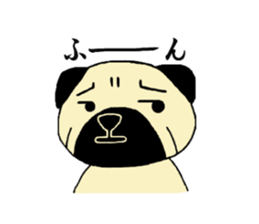 The pug is cute. sticker #14604992