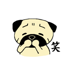 The pug is cute. sticker #14604996