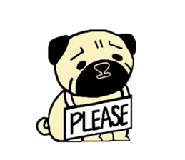 The pug is cute. sticker #14605001