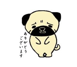 The pug is cute. sticker #14605005