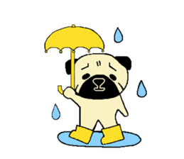 The pug is cute. sticker #14605006