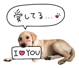 Labrador Retriever's love sticker #14606119