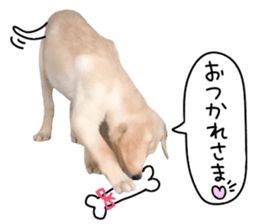 Labrador Retriever's love sticker #14606125