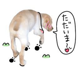 Labrador Retriever's love sticker #14606130