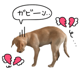 Labrador Retriever's love sticker #14606131