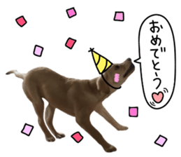 Labrador Retriever's love sticker #14606136