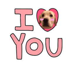 Labrador Retriever's love sticker #14606137