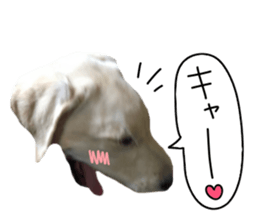 Labrador Retriever's love sticker #14606144