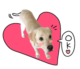 Labrador Retriever's love sticker #14606147