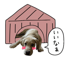 Labrador Retriever's love sticker #14606148