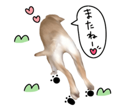 Labrador Retriever's love sticker #14606149
