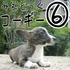 MIEDOG Welsh Corgi Cardigan sticker 6